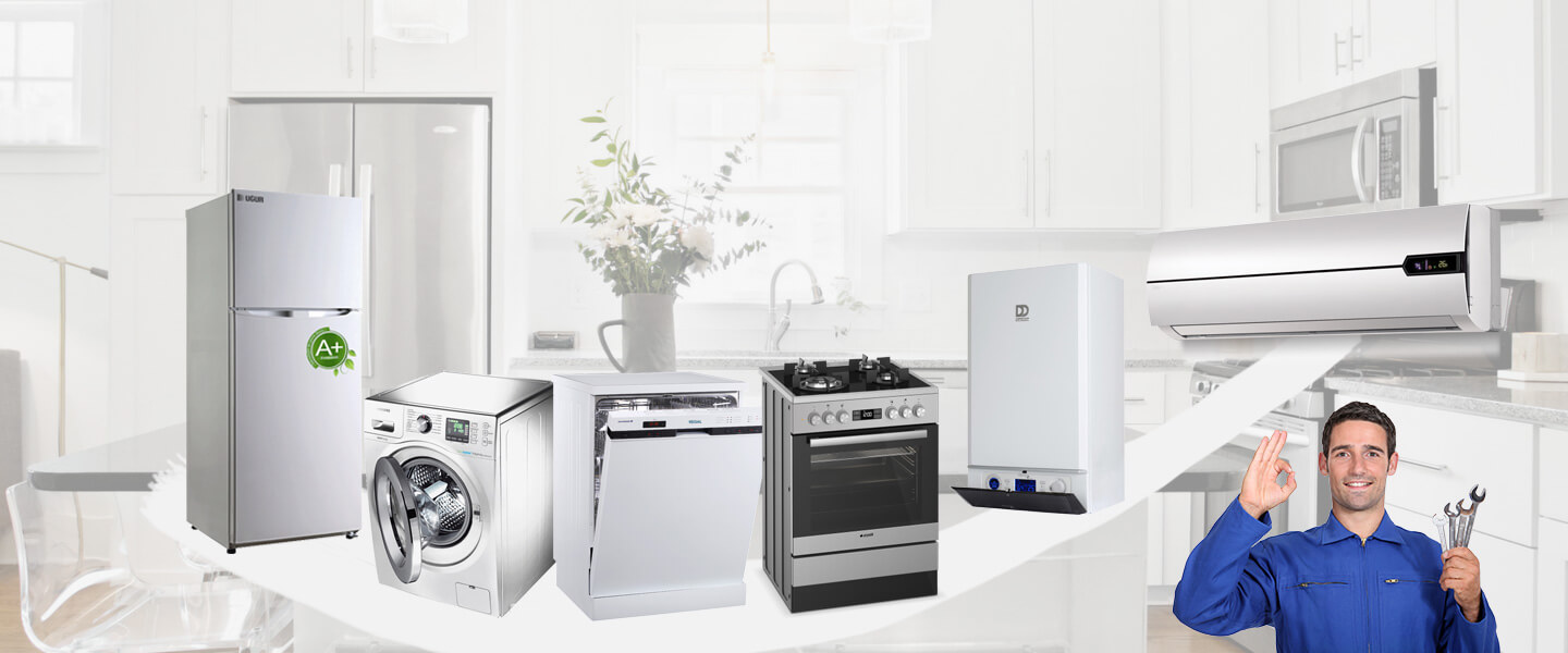 Damal Dominox Servisi